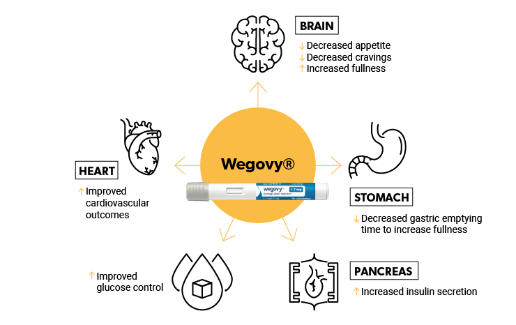 how long does it take for Wegovy to work for weight loss